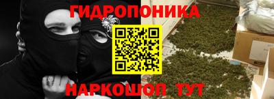 ПСИЛОЦИБИНОВЫЕ ГРИБЫ Кингисепп