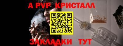 ПСИЛОЦИБИНОВЫЕ ГРИБЫ Кингисепп