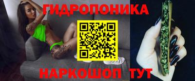 прущие грибы Кимры
