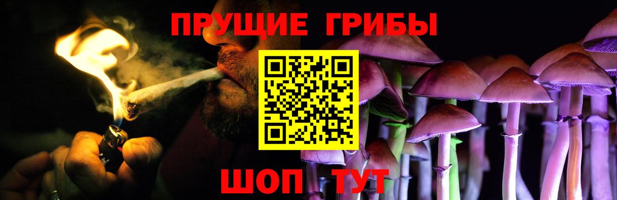 купить наркотик  Псилоцибиновые грибы MAGIC MUSHROOMS  Вход с VPN  Избербаш 